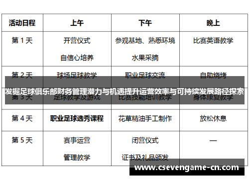 发掘足球俱乐部财务管理潜力与机遇提升运营效率与可持续发展路径探索