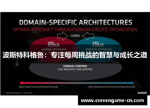 波斯特科格鲁：专注每周挑战的智慧与成长之道