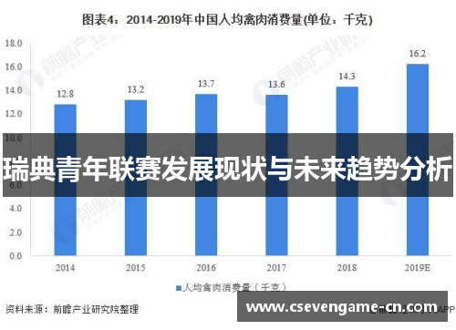 瑞典青年联赛发展现状与未来趋势分析