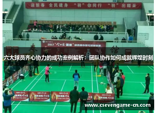 六大球员齐心协力的成功案例解析：团队协作如何成就辉煌时刻
