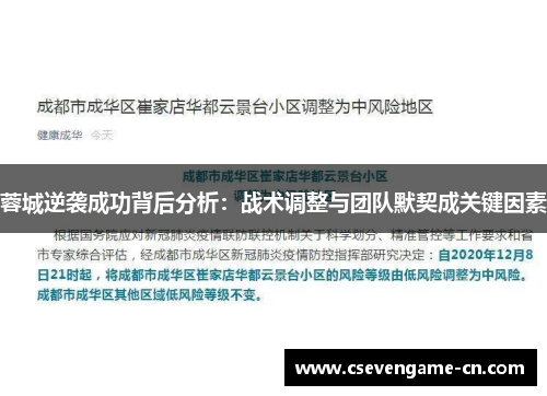 蓉城逆袭成功背后分析：战术调整与团队默契成关键因素