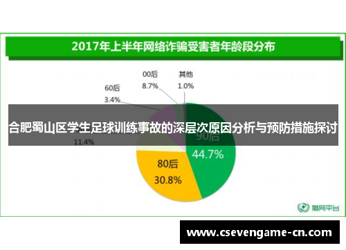 合肥蜀山区学生足球训练事故的深层次原因分析与预防措施探讨