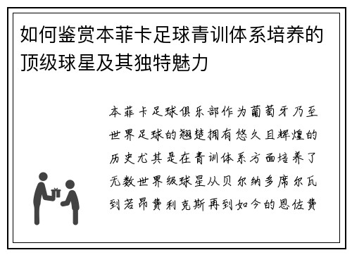如何鉴赏本菲卡足球青训体系培养的顶级球星及其独特魅力