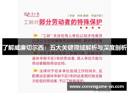 了解威廉切尔西：五大关键领域解析与深度剖析